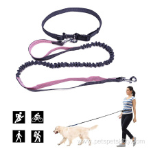 Leash Dual Handle for Control Shock Absorbing Bungee